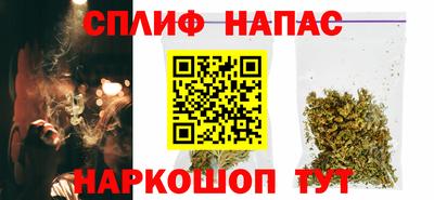индика Тара