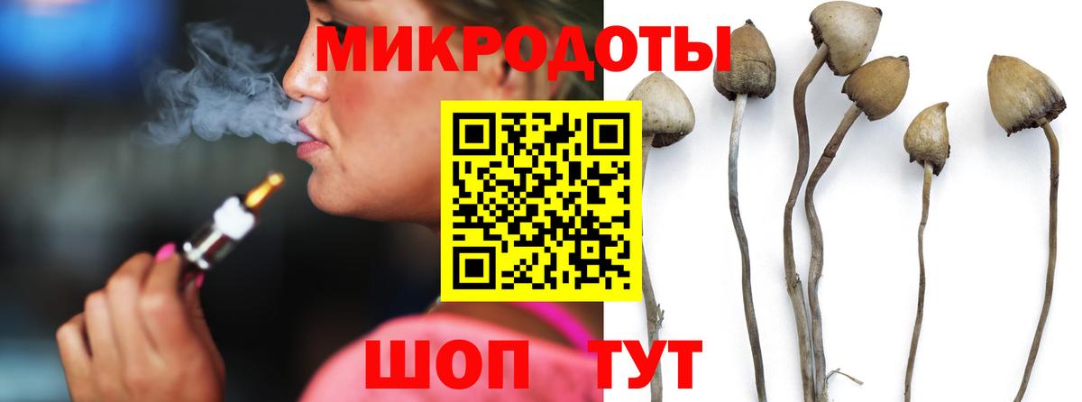 Лянтор  Псилоцибиновые грибы Psilocybine cubensis  Вход с VPN 